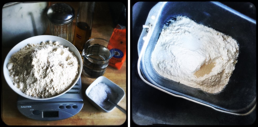 PIZZA INGREDIENTS DUO.jpg