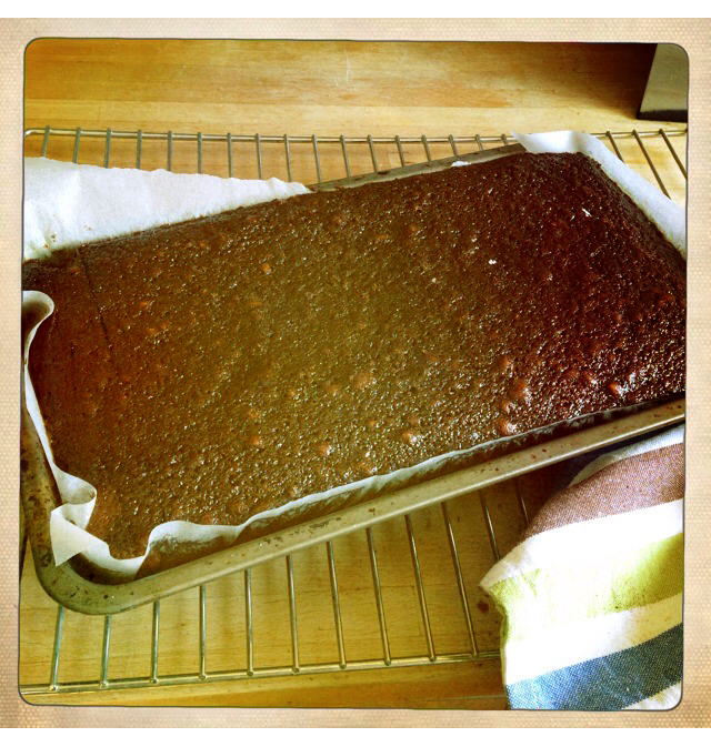 gingerbread-out-of-oven