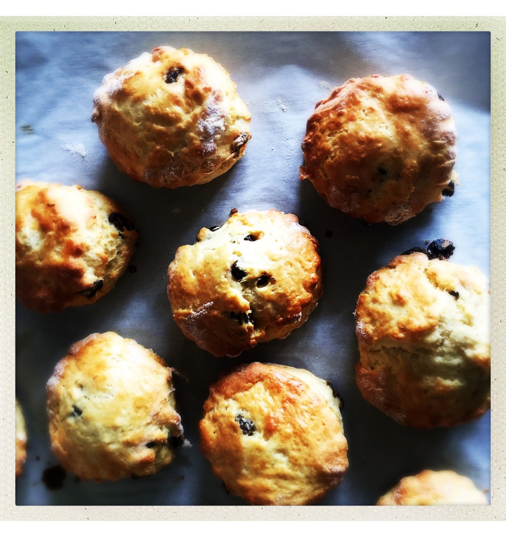 scones-on-tray-from-oven