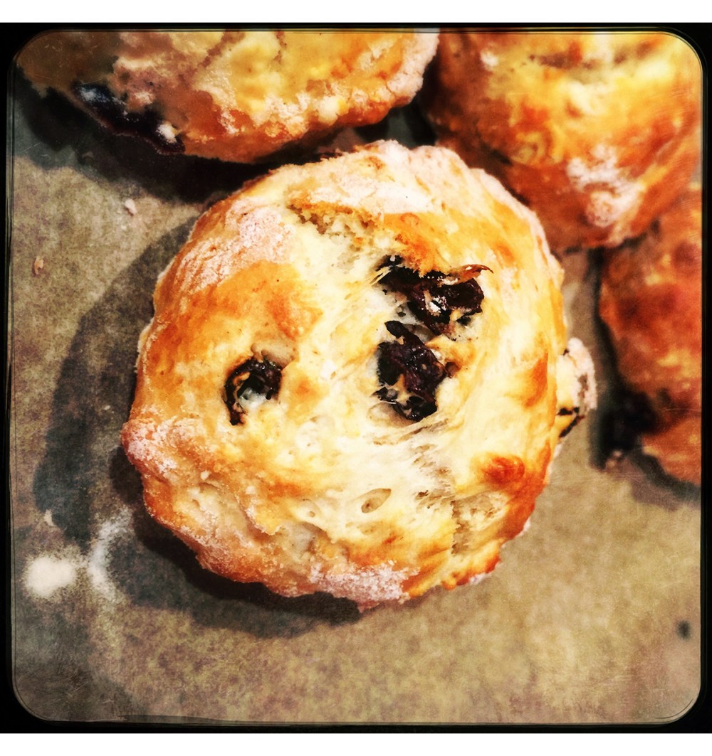 scones-single