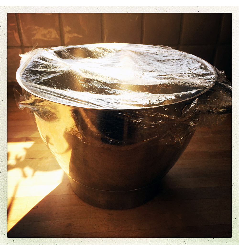 WHITE ROLLS BOWL PROVE