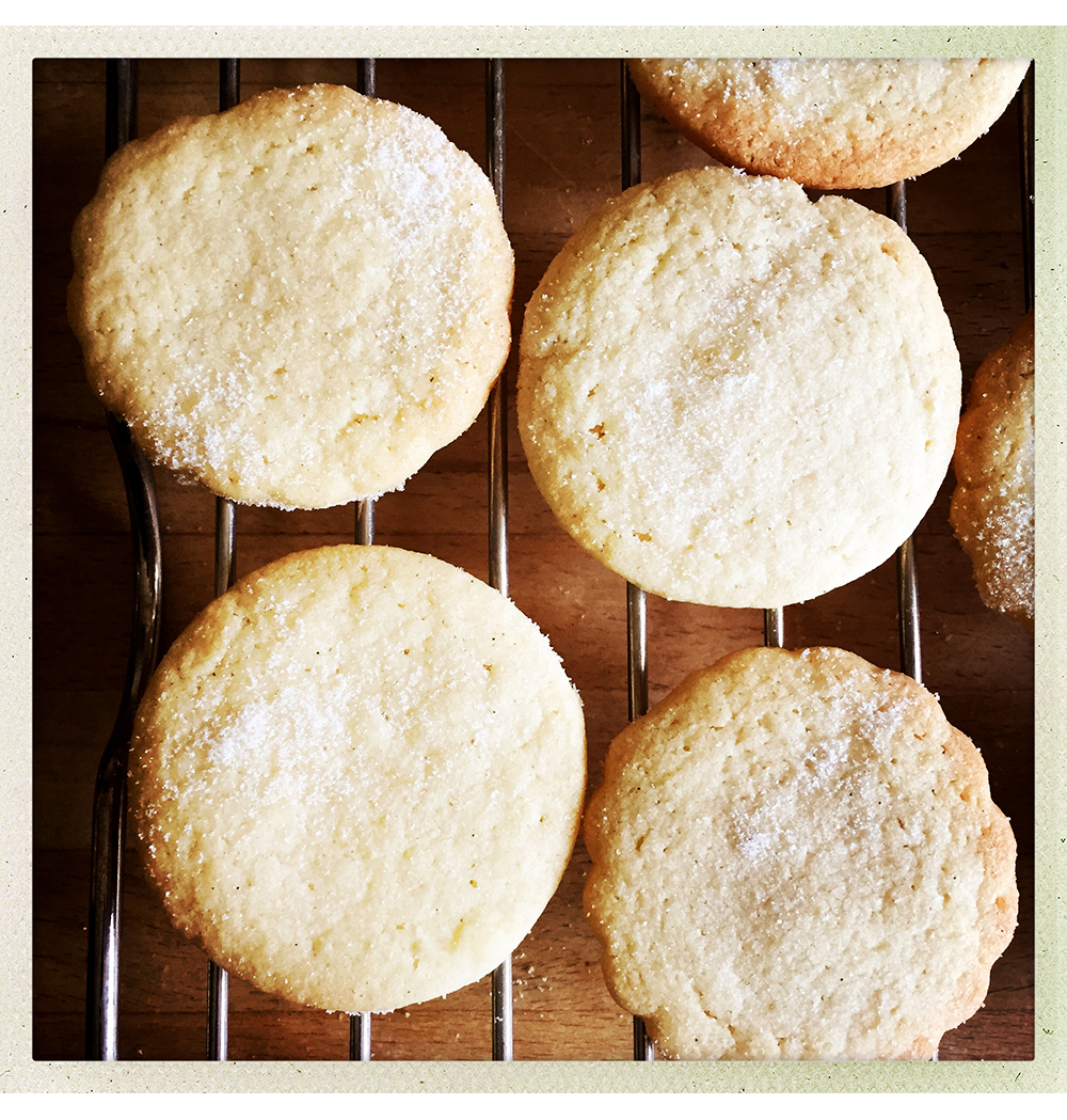 BISCUITS COOLING.jpg