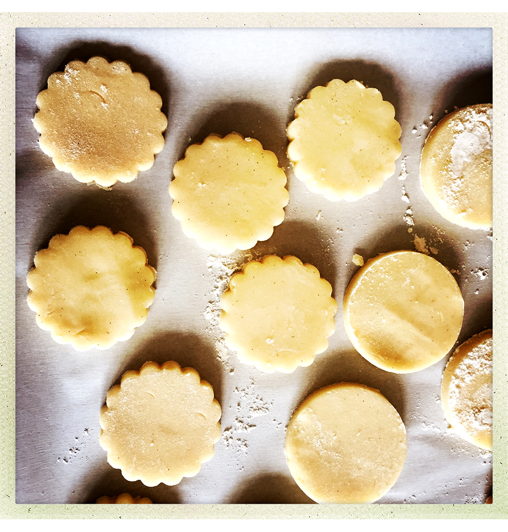 HALLOWEEN BISCUITS CUT OUT
